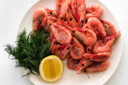 Креветки северные