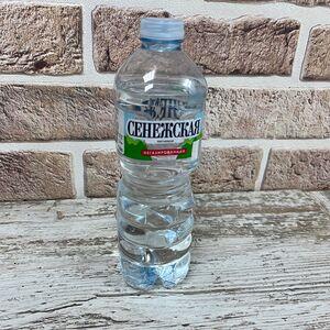 Вода Сенежская негазированная