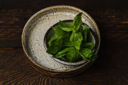 Базилик зеленый