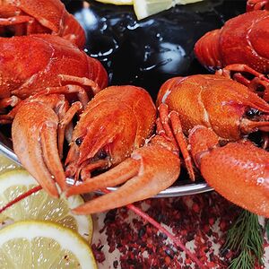 Раки вареные в ароматном бульоне крупные (15-19 шт. в кг.)