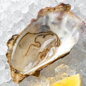 Устрица Фин де Клер