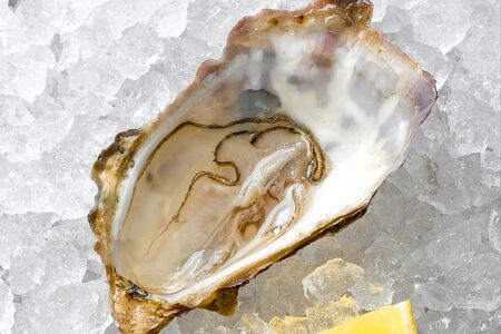 Устрица Фин де Клер