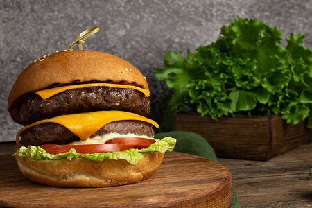 Двойной чизбургер