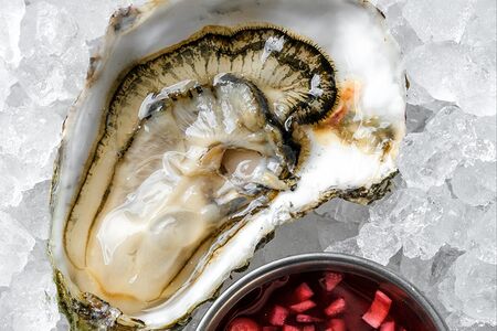 Устрица дальневосточная