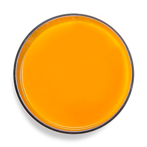 Панакота с манго