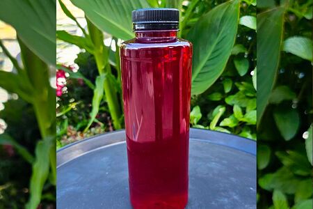 Морс брусника