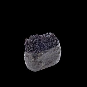 Գունկան Տոբիկո Կուռո