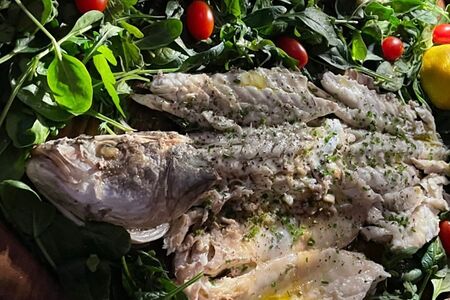 Филе сибаса с зеленым салатом