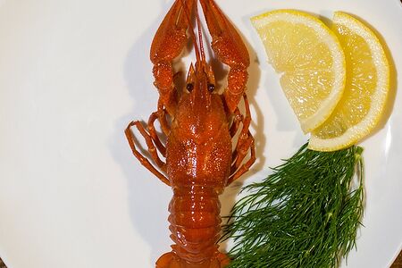 Мелкие раки