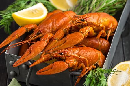 Рак средний вареный