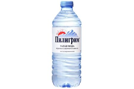 Вода Пилигрим негазированная
