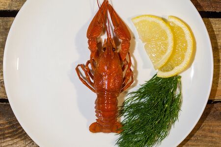 Крупные вареные раки по классическому рецепту
