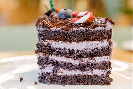 Чернично-шоколадный торт