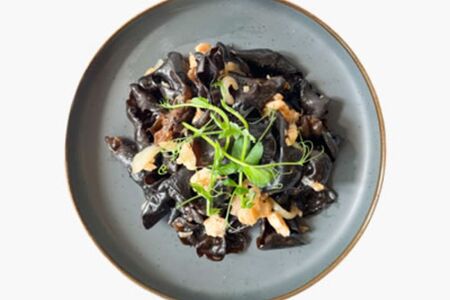 Древесные грибы