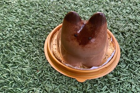 Танцующий котик Шоколад