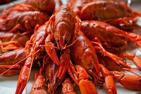 Отборные раки 5 категории