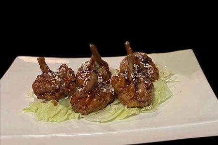 Териякнутые крылья