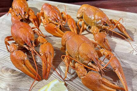 Вареные раки большие