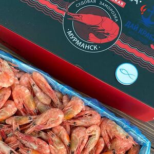 Креветка мурманская