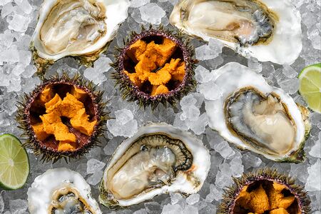 Сет 4 ежа и 8 дальневосточных устриц