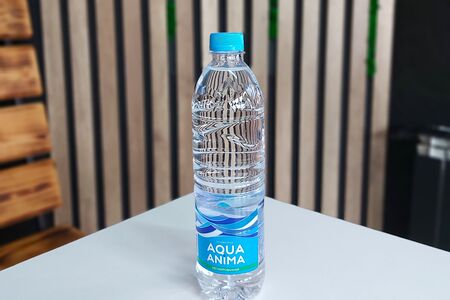 Минеральная вода Aqua Anima негазированная