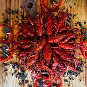 Раки донские крупные вареные в ароматном бульоне