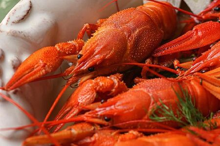 Раки традиционные