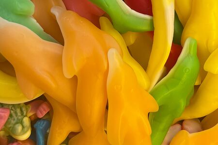 Гигантские дельфины разноцветные