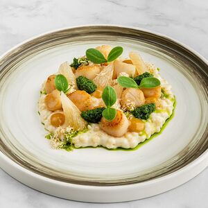 Гребешок, птитим, фундук, браун баттер, грейпфрут