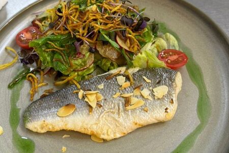 Филе сибаса с микс-салатом