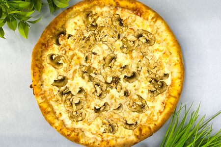 Куриная с грибами