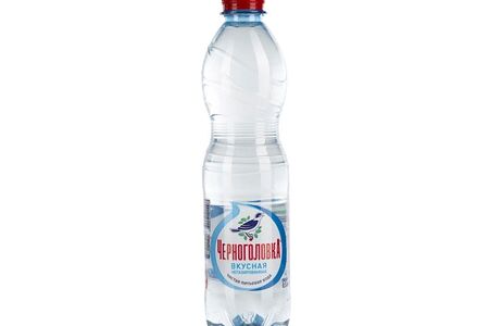 Вода Черноголовка артезианская негазированная