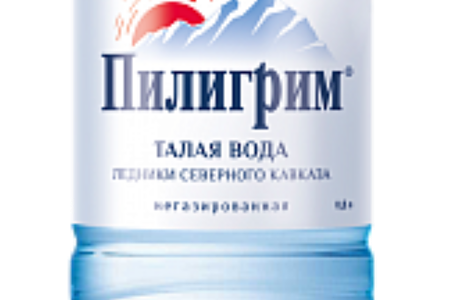 Вода Пилигрим негазированная