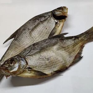 Բրամ ձուկ խոշոր