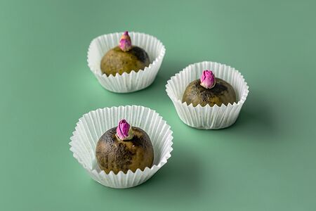 Конфетка с матчей