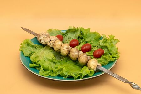 Шашлык королев с доставкой. Шашлык из куриных крылышек на мангале. Егорьевск шашлык. Шашлык в королеве с доставкой. Шашлык сочный королев.