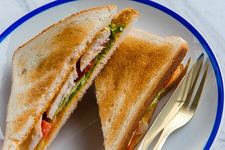 Тосты с курицей