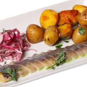 Сельдь атлантическая