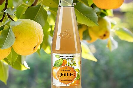 Дюшес Мартин