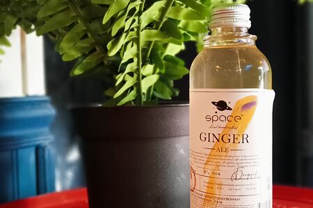 Space - Ginger