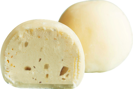 Моти Рафаэлло