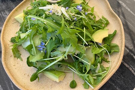 Зеленый салат с авокадо