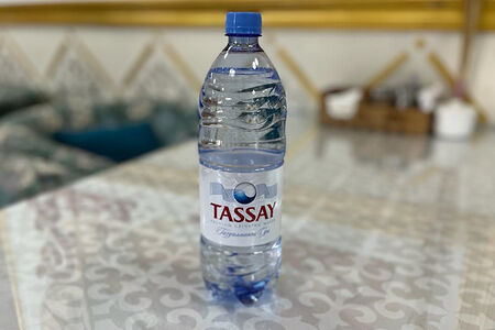 Tassay