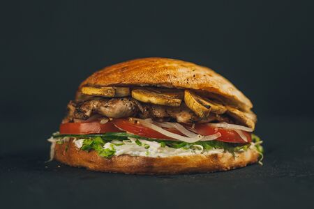 Плескавица Курица с грибами