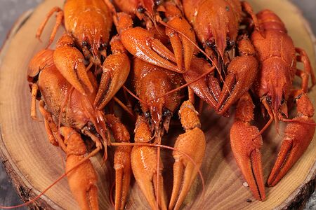 Рак отборный вареный