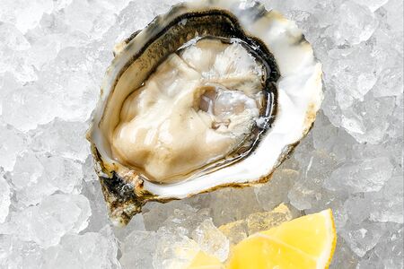 Устрица Тиа Мара