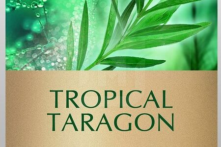 Greenfield Tropical Taragon Чай зелёный 25пак