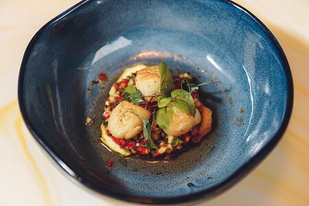 Морской гребешок