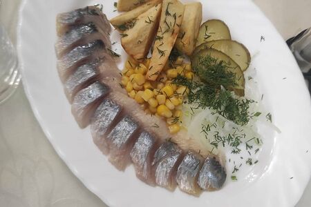 Сельдь трактирная