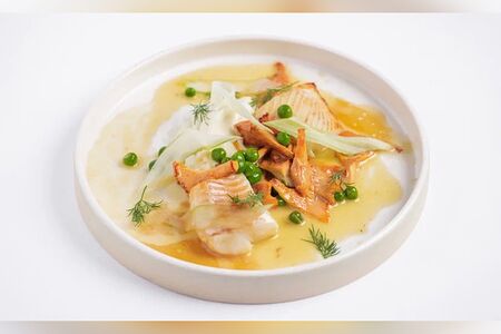 Филе палтуса